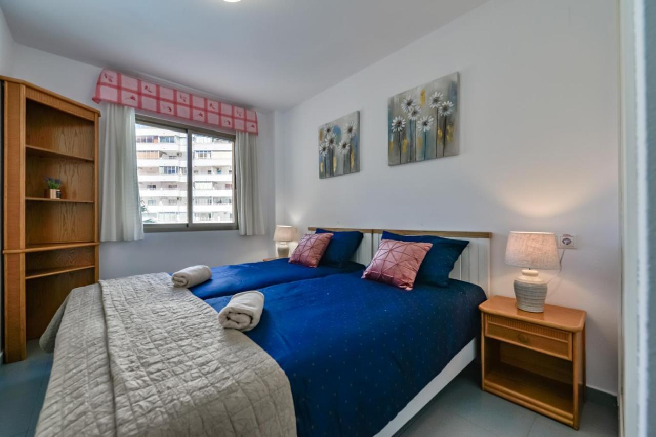 Hipocampos En Apartment