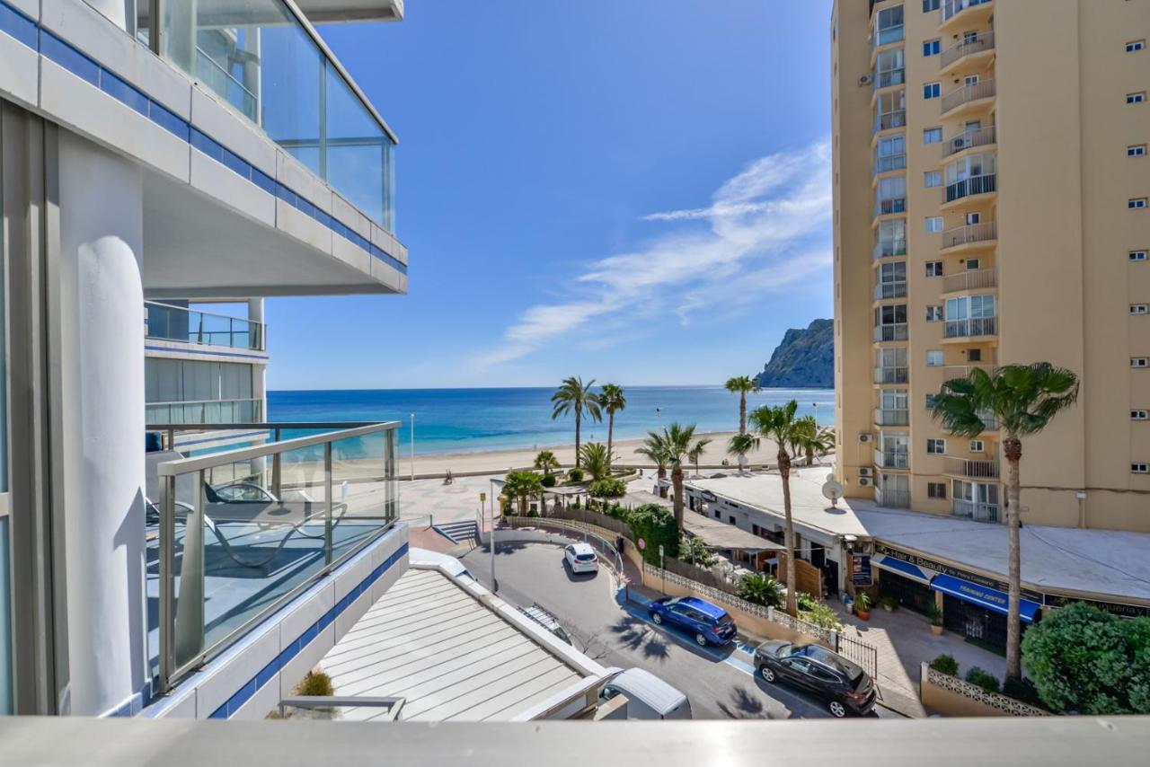 Hipocampos En Appartement