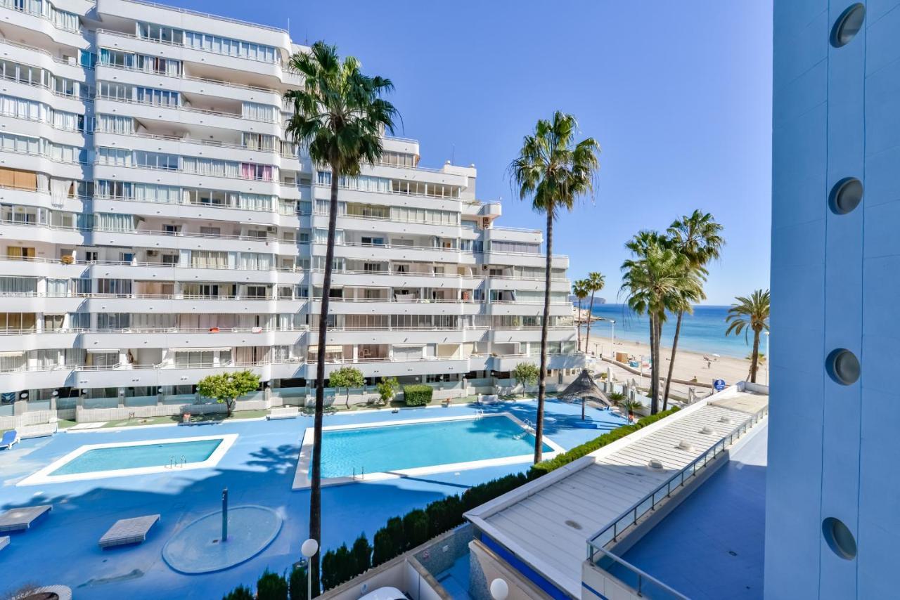 Hipocampos En Apartment