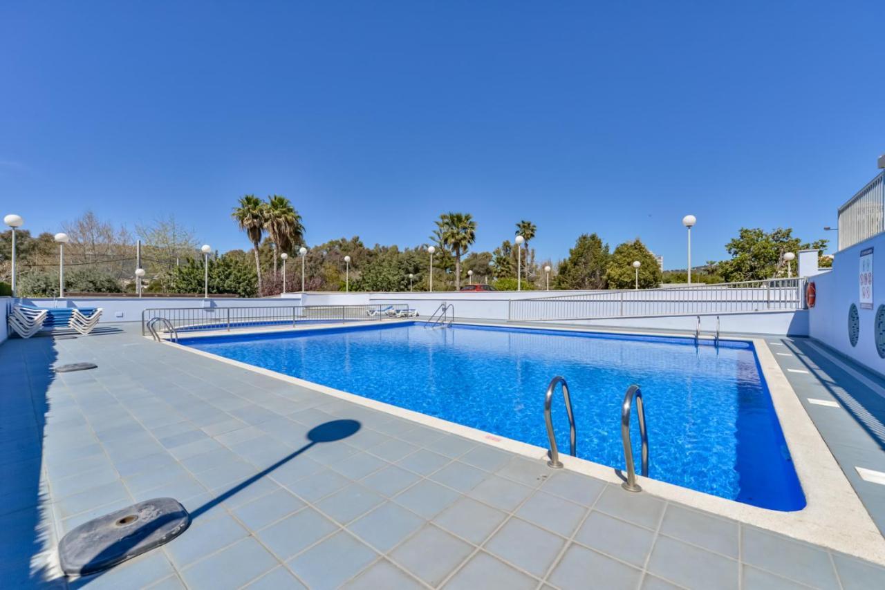 Hipocampos En Calp