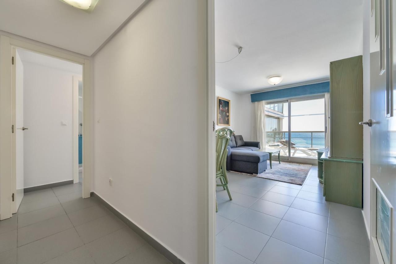 Hipocampos En Appartement *