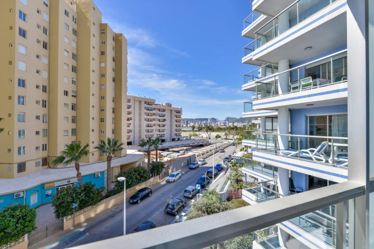 Hipocampos En Calp