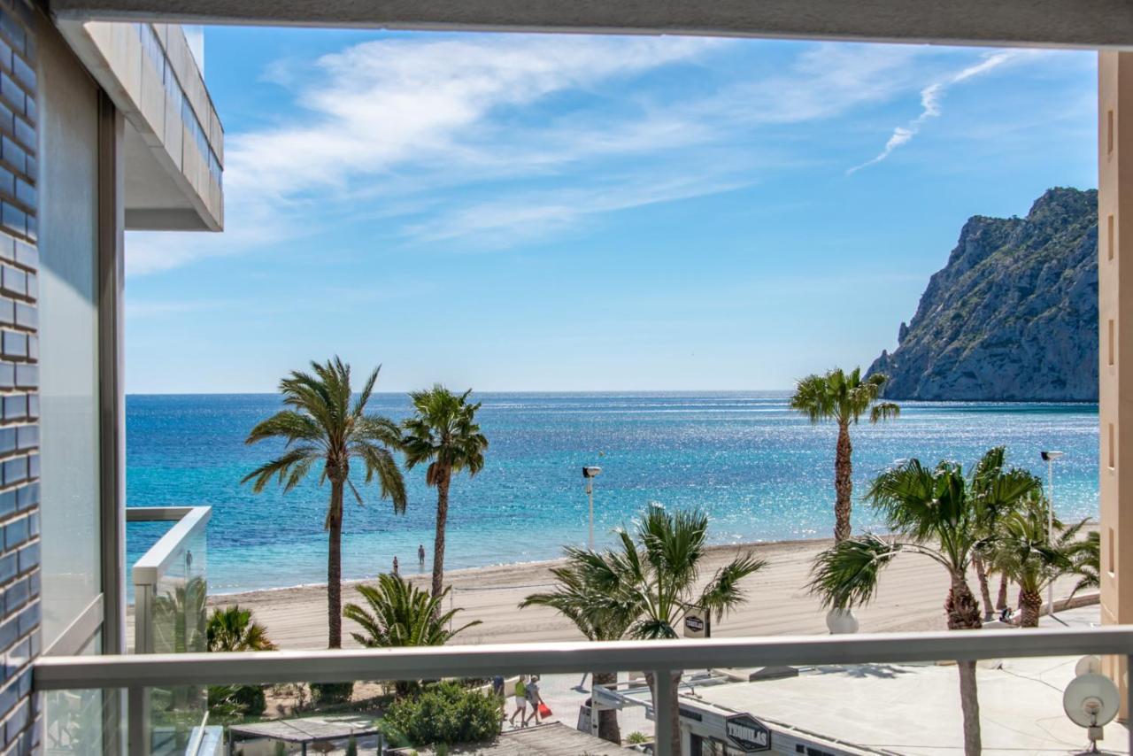 Hipocampos En Calp