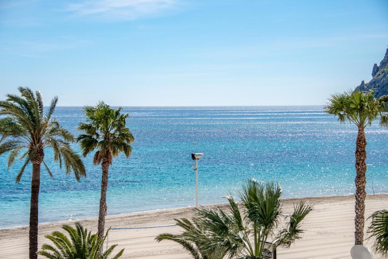 Hipocampos En * Calp