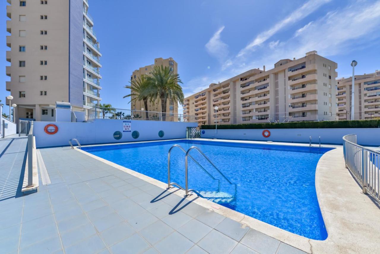 Hipocampos En Calp